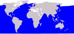 Sei whale range